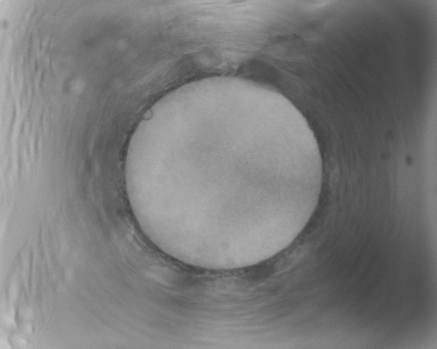 X0000051880769200507151911