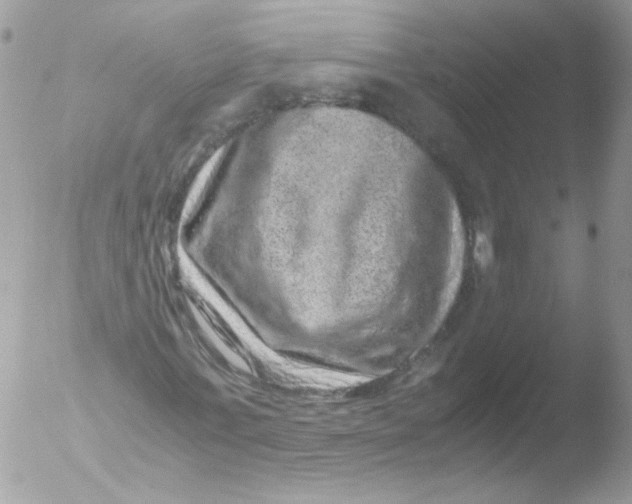 X0000051880771200507151911