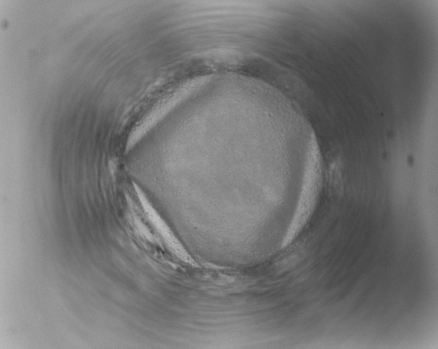 X0000051880772200507151911