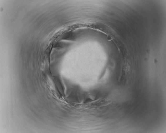 X0000051880773200507151911