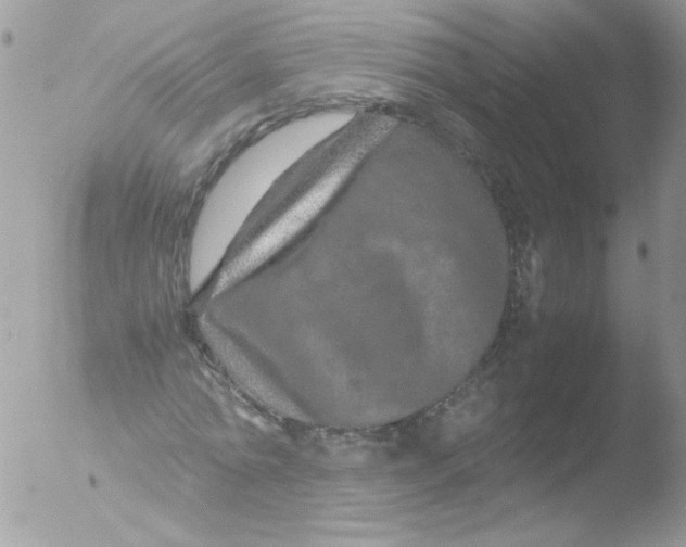 X0000051880774200507151911