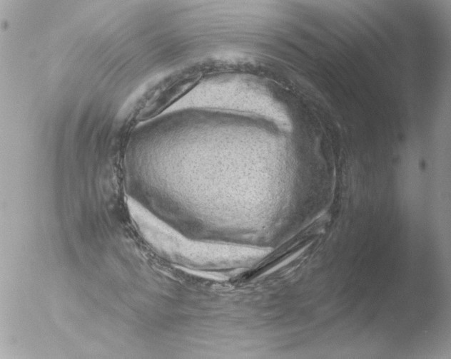 X0000051880776200507151911