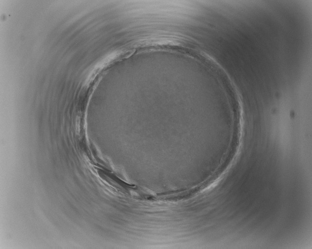 X0000051880777200507151911