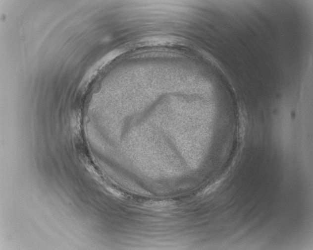 X0000051880778200507151911