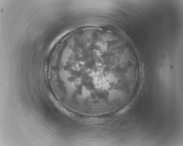 X0000051880779200507151911