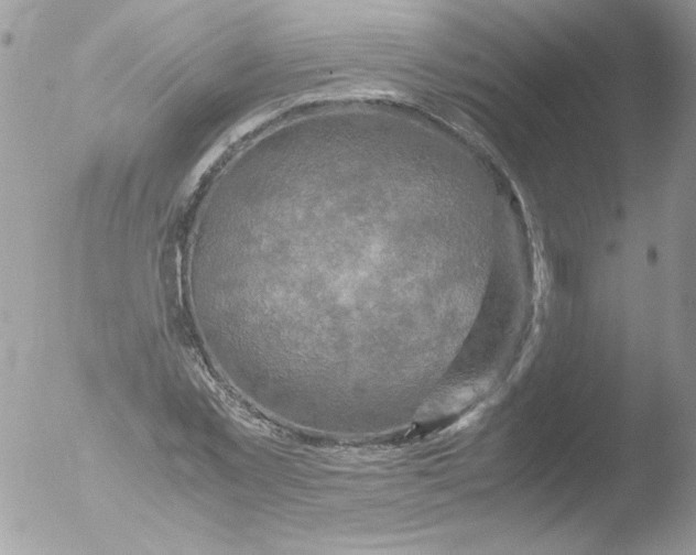 X0000051880781200507151911