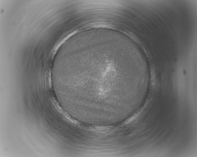 X0000051880782200507151911