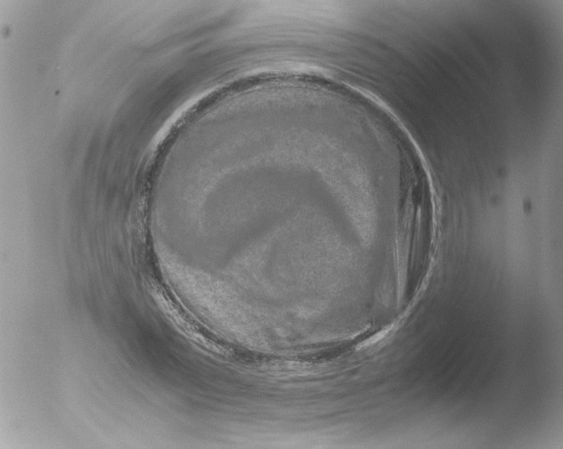 X0000051880783200507151911