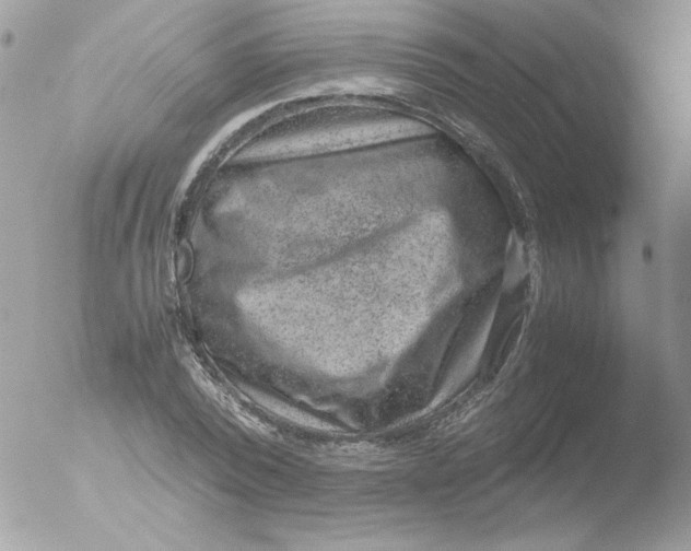 X0000051880784200507151911