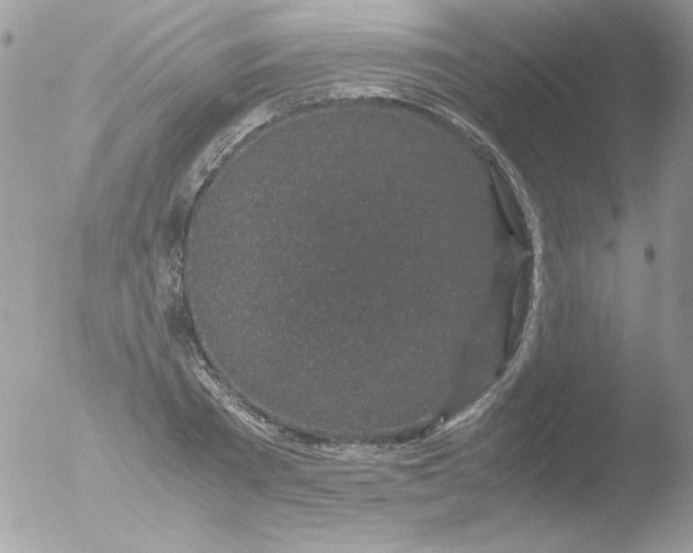 X0000051880785200507151911