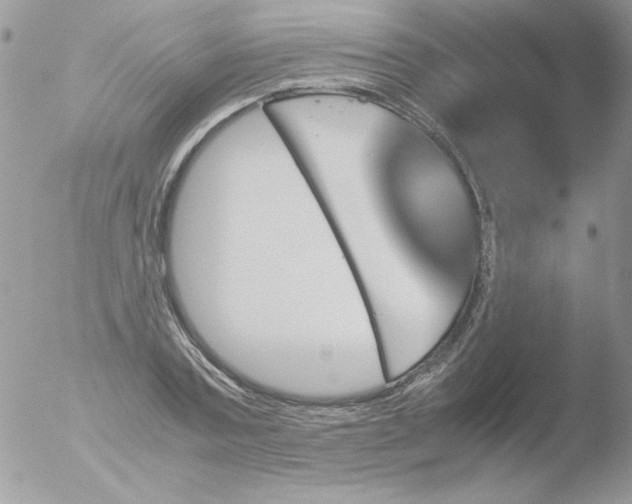 X0000051880787200507151911