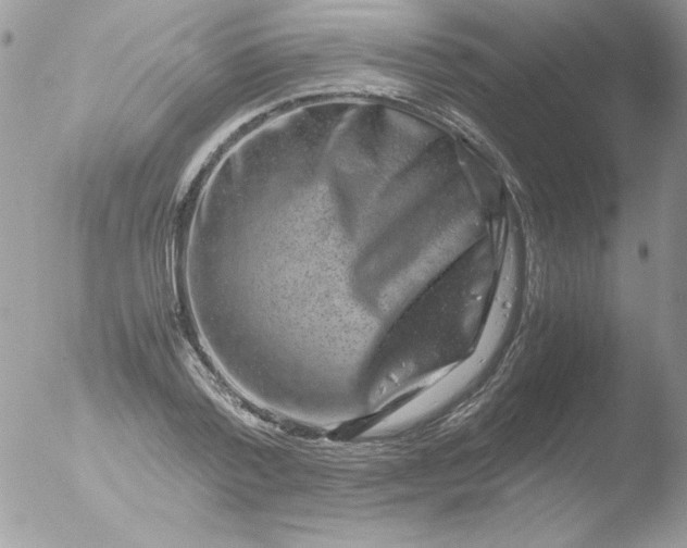 X0000051880788200507151911