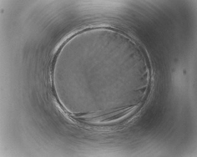 X0000051880789200507151911