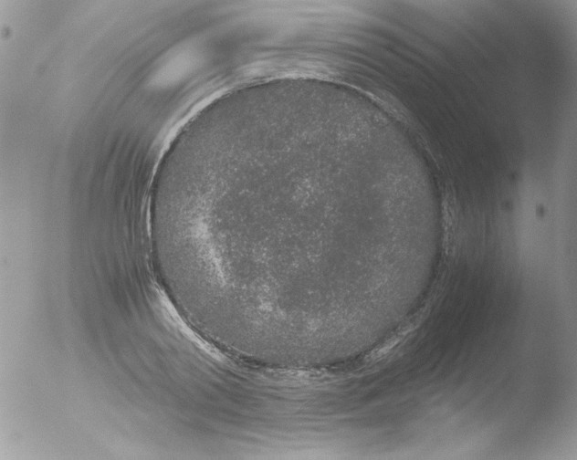 X0000051880790200507151911