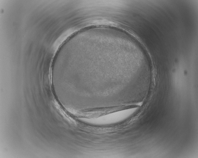 X0000051880791200507151911