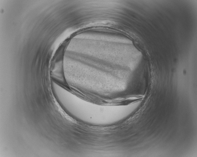 X0000051880792200507151911