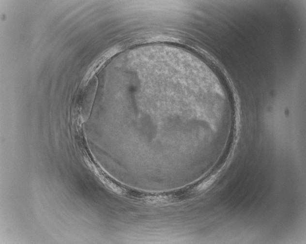 X0000051880793200507151911