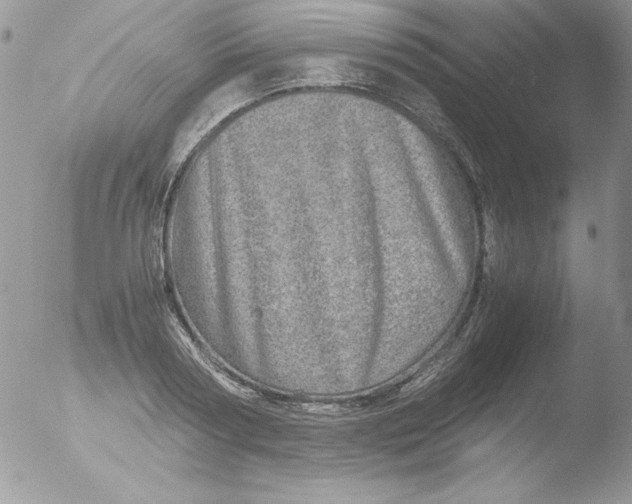 X0000051880794200507151911