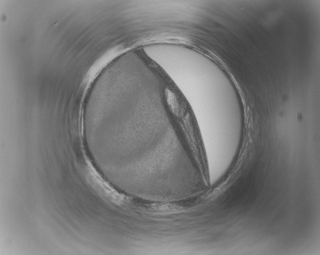 X0000051880795200507151911