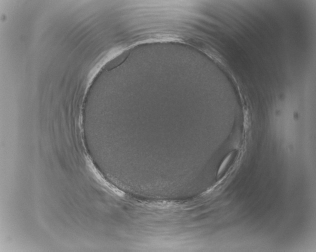 X0000051880797200507151911