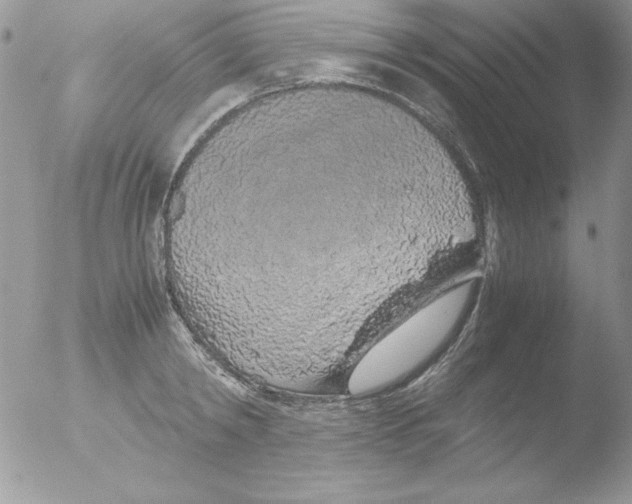 X0000051880798200507151911