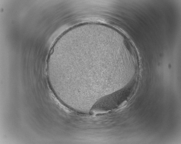 X0000051880799200507151911