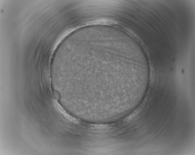 X0000051880800200507151911