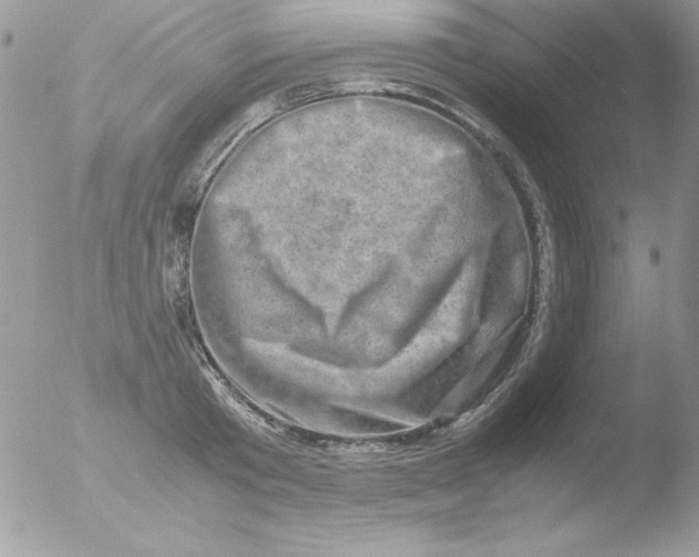 X0000051880801200507151911