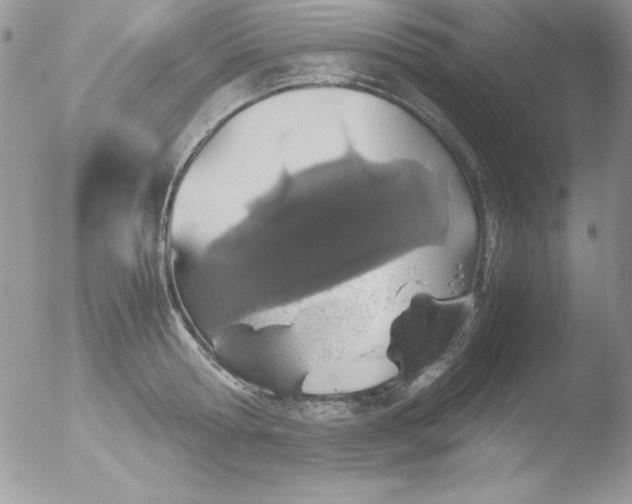 X0000051880802200507151911