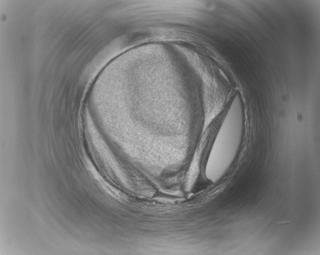 X0000051880803200507151911