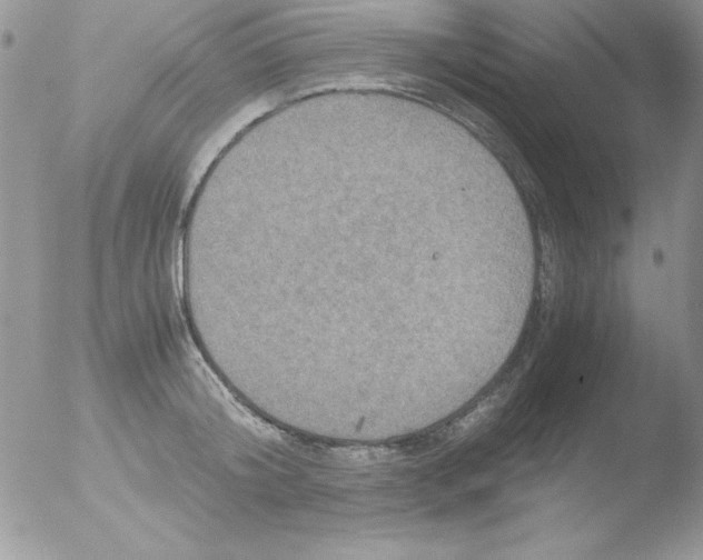 X0000051880804200507151911