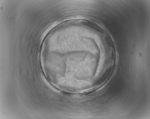 X0000051880805200507151911