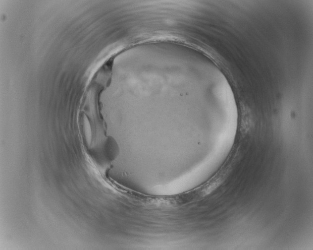 X0000051880806200507151911