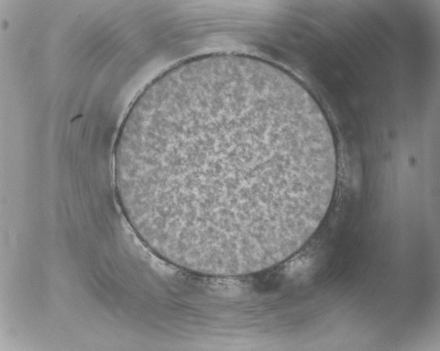 X0000051880807200507151911