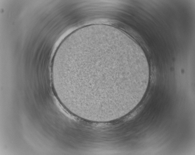 X0000051880808200507151911