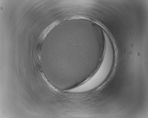 X0000051880809200507151911