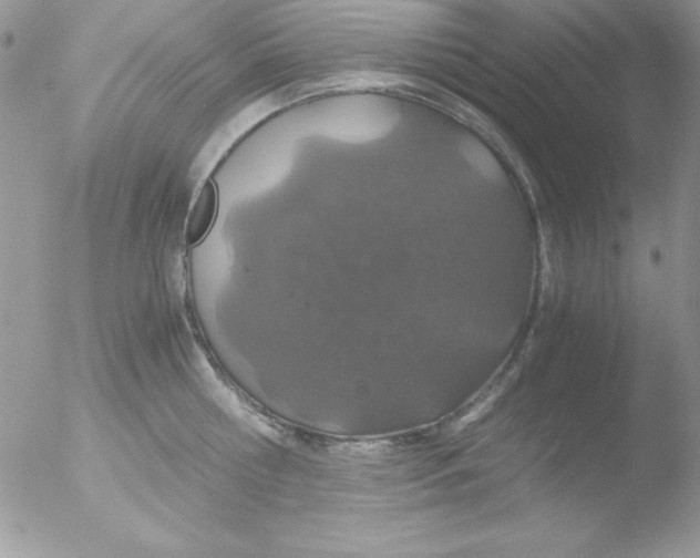 X0000051880810200507151911