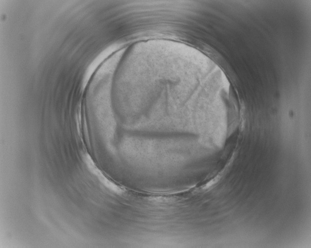 X0000051880812200507151911