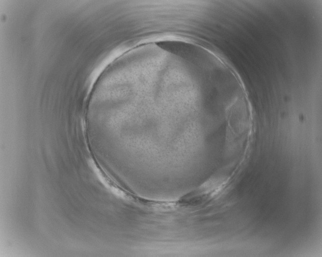 X0000051880813200507151911