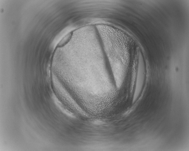 X0000051880814200507151911