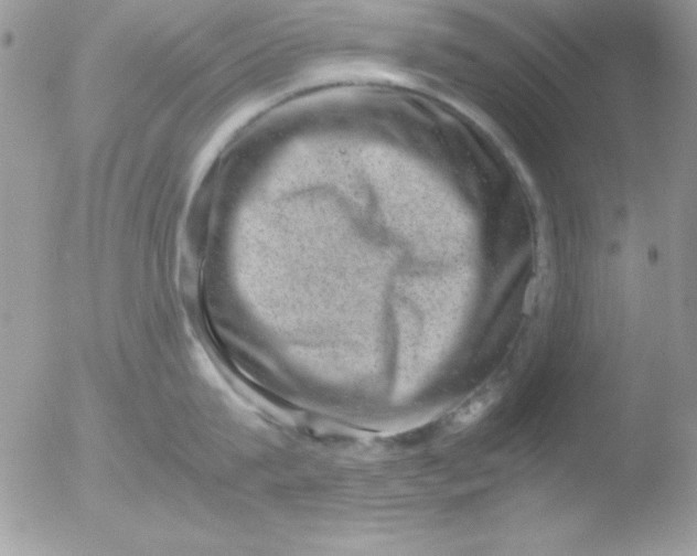 X0000051880815200507151911