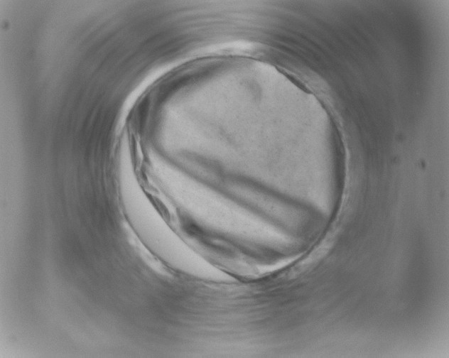 X0000051880816200507151911