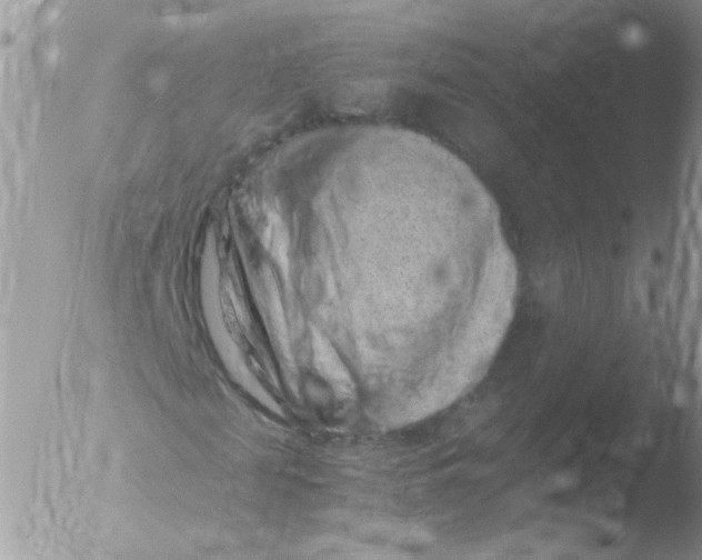 X0000051880817200507151910