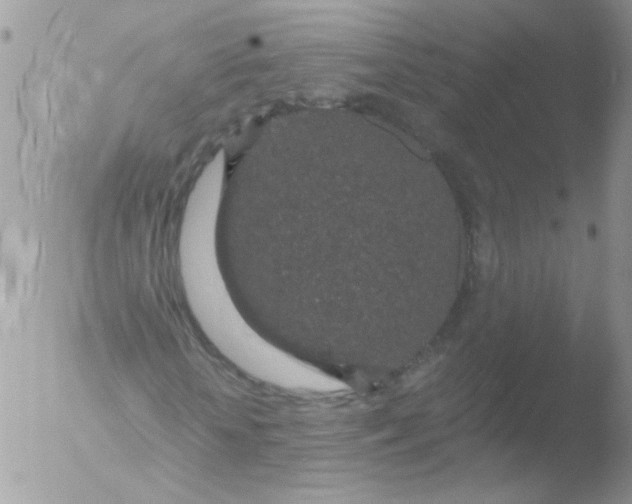 X0000051880818200507151910