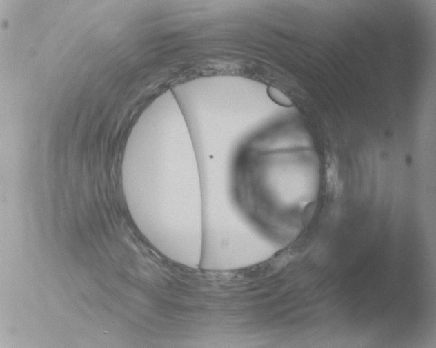 X0000051880819200507151910