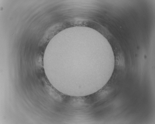 X0000051880820200507151910