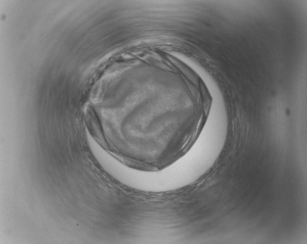 X0000051880822200507151910