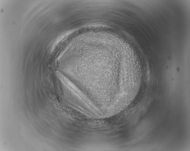 X0000051880823200507151910