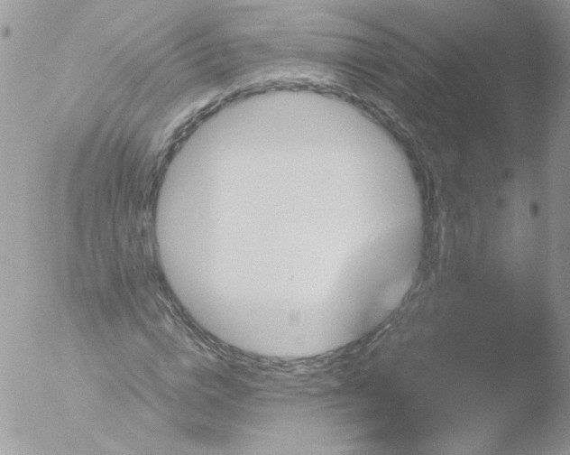 X0000051880824200507151910