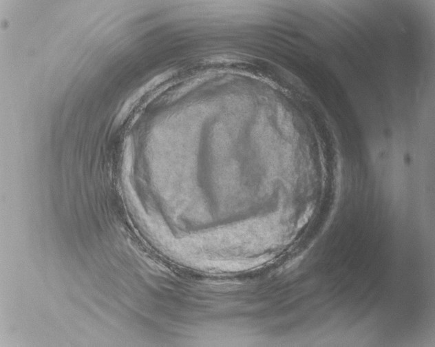 X0000051880825200507151910